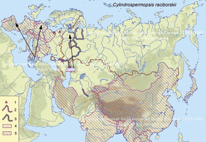 Cylindrospermopsis raciborskii (Woloszynska) Seenayya et Subba Raju, 1972   