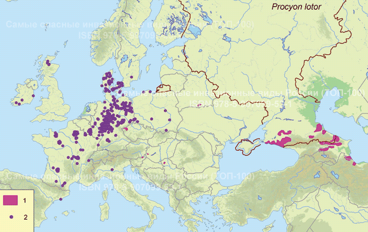 Procyon lotor (Linnaeus, 1758) Енот-полоскун