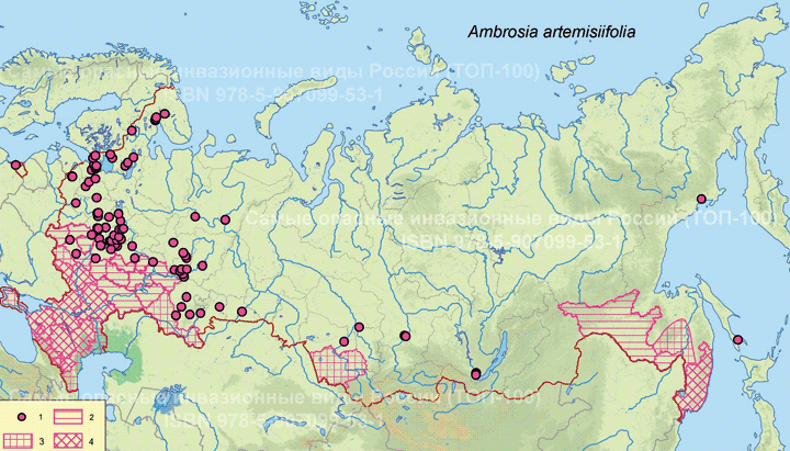 Карта распространения амброзии в россии