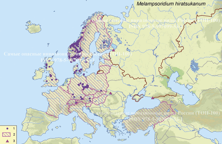 <i>Melampsoridium hiratsukanum</i> S. Ito ex Hirats. f., 1927