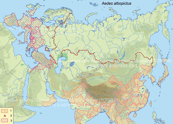 Азиатский тигровый комар