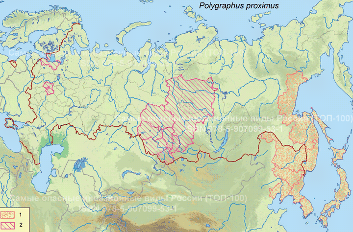 Уссурийский полиграф